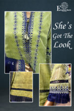 Stitched 3 Piece Fancy Zari
