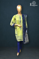 Stitched 3 Piece Fancy Zari