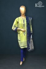 Stitched 3 Piece Fancy Zari