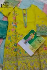 Semi Formal Organza Embroidered Suit | Banarsi Zari Trouser Stitched 3Piece D#29 - Image 5