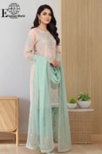 Luxury Peach Organza Embroidered Suit | Design No. 22 | Heavy Stone Work | Banarsi Zari Trouser | stitched 3 Piece Festive Collection