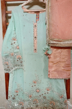3D Organza Flower Embroidery Stitched 3Pc - Image 2